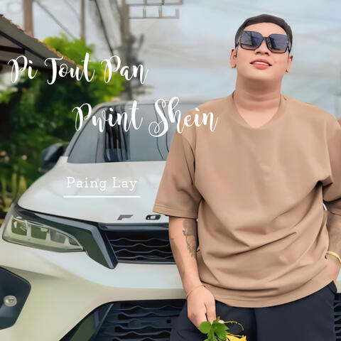 Pi Tout Pan Pwint Shein album art