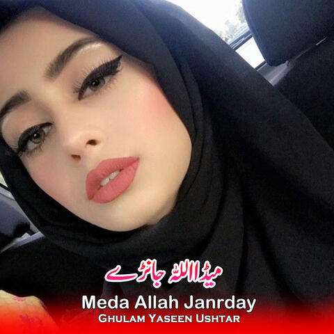 Meda Allah Janrday album art