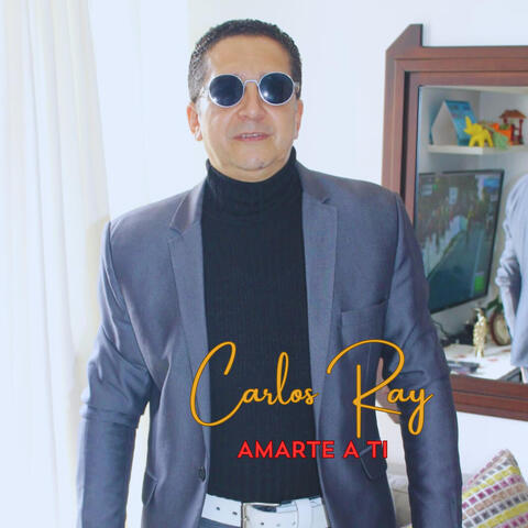 Amarte a Ti album art