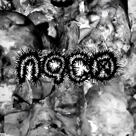 Kittyfasciolasis album art