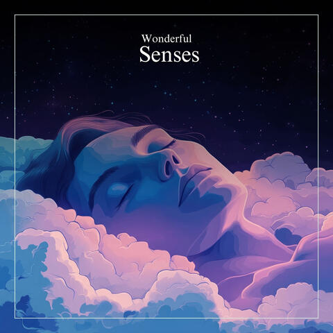 Wonderful Senses album art