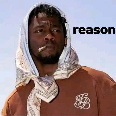 reason album art