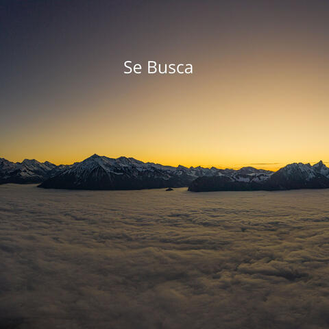 Se Busca album art