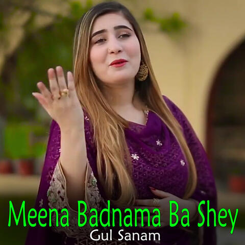 Meena Badnama Ba Shey album art