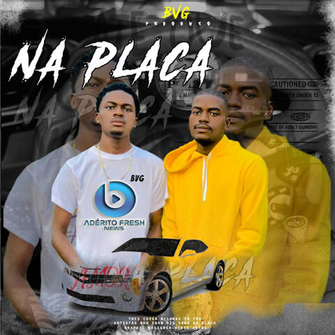 Na Placa album art