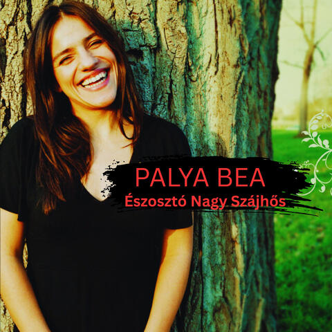 Észosztó Nagy Szájhős album art
