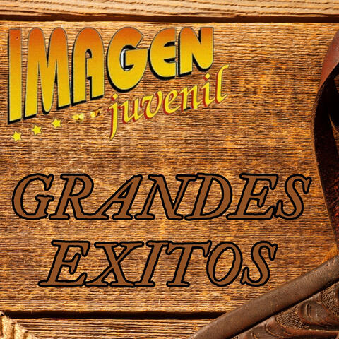 Grandes Exitos album art