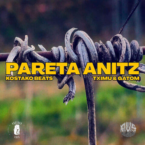 Pareta Anitz album art