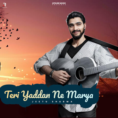 Teri Yaddan Ne Marya album art