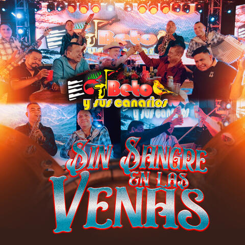 Sin Sangre En Las Venas album art