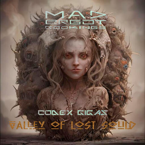 Valley Of Lost Sould album art