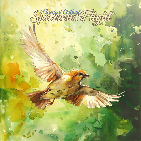 Sparrows Flight album art