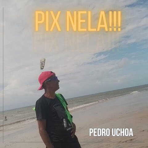 PIX NELA album art