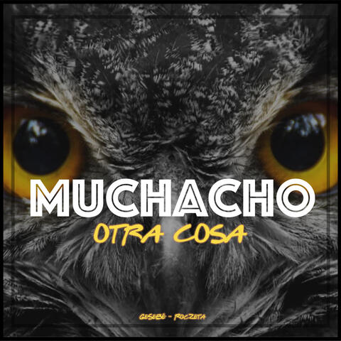 Muchacho album art