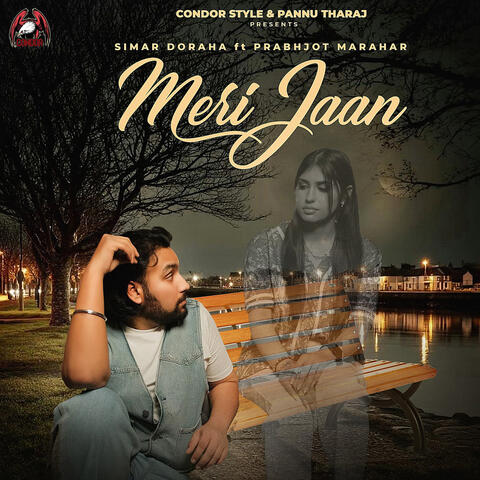 Meri Jaan album art