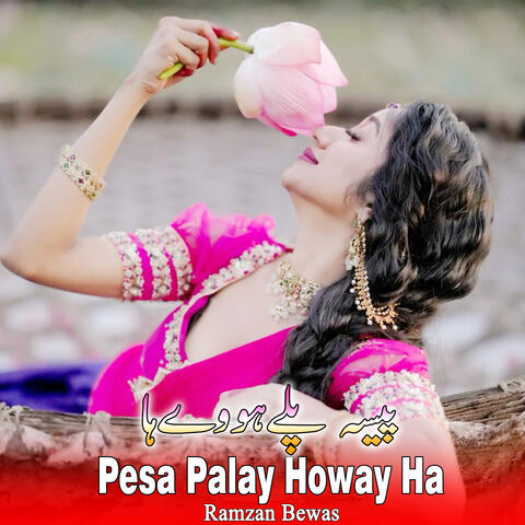 Pesa Palay Howay Ha album art