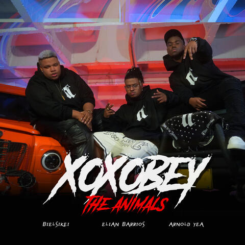 XOXOBEY album art