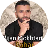 Image of Bijan Mokhtari