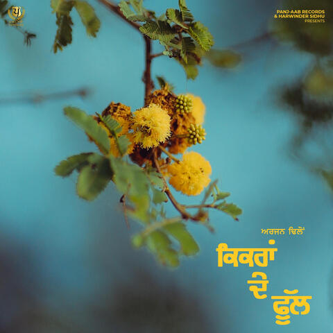 Kikran De Phull album art