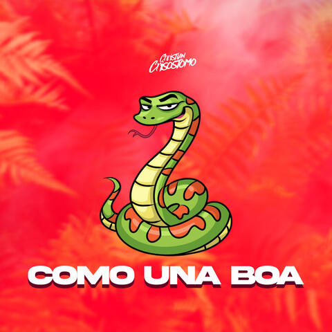 Como Una Boa album art