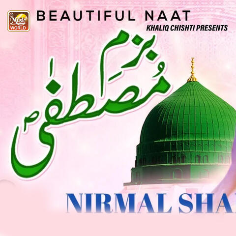 Bazm e Mustafa album art