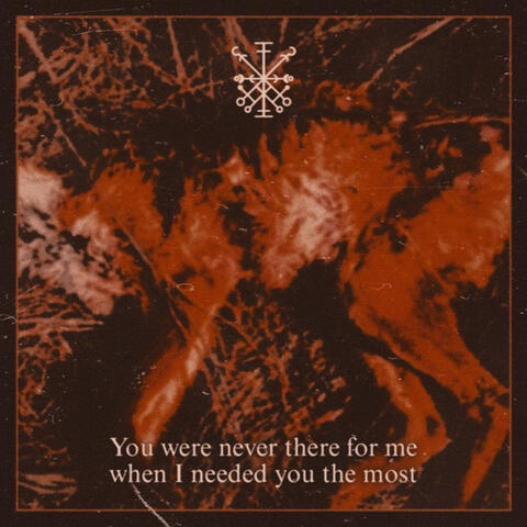 You Were Never There For Me When I Needed You The Most album art