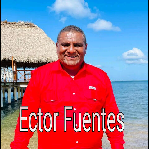 Yo estoy contigo album art