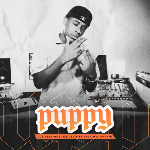 LDB Sessions: Puppy album art