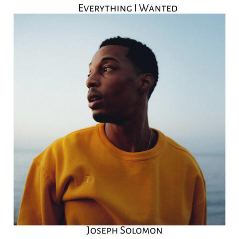 Everything I Wanted album art
