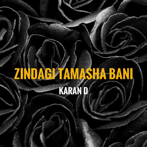 Zindagi Tamasha Bani album art
