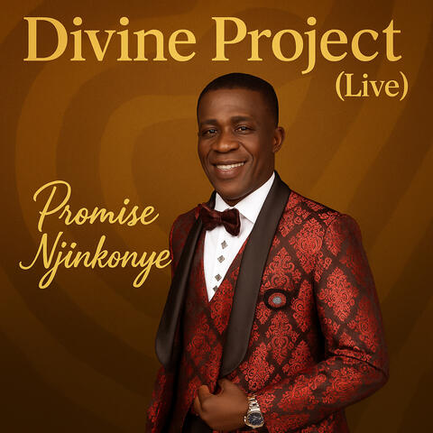 Divine Project album art