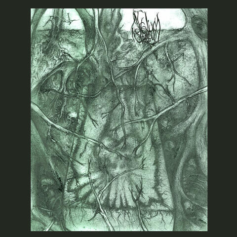 Mycelium Shroud Deluxe album art