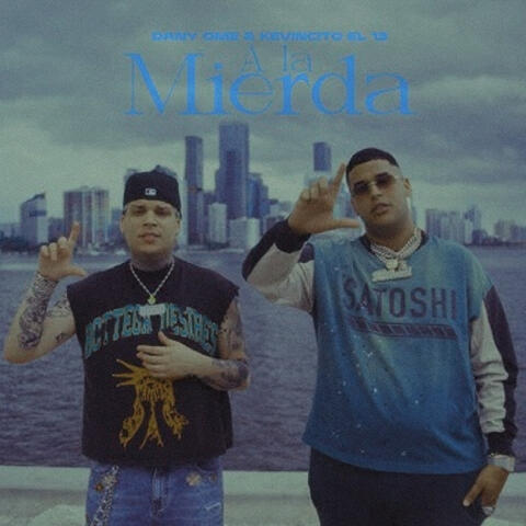 A la mierda album art