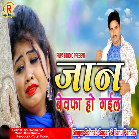 Jan Bewafa Ho Gail album art
