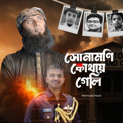 সোনা মণি কোথায় গেলি album art
