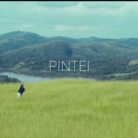 PINTEI album art