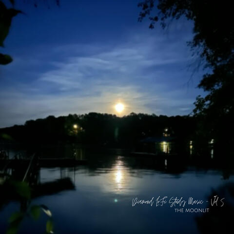 Diamond Lofi Study Music - Vol. 5 The Moonlit album art