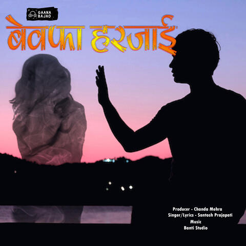 Bewafa Harjai album art