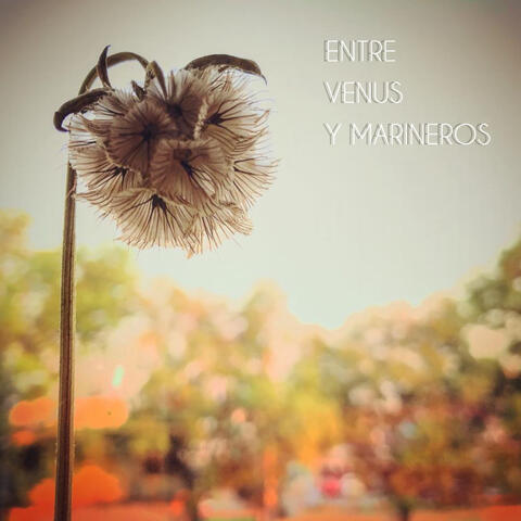 EVYM album art