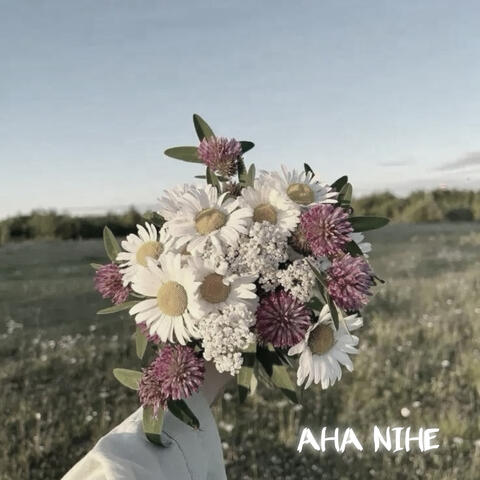 AHA NIHE album art