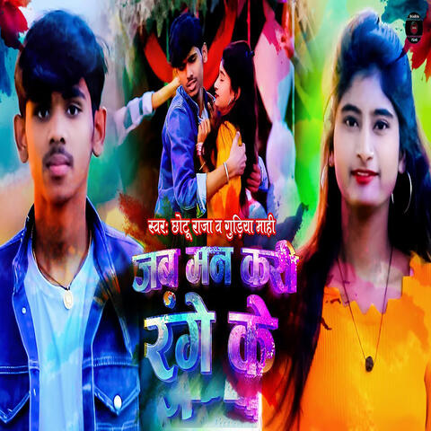 Jab Man Kari Rang Ke album art