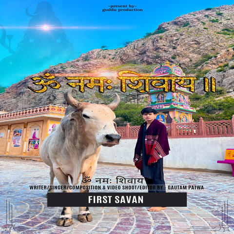 Om namah shivaya album art