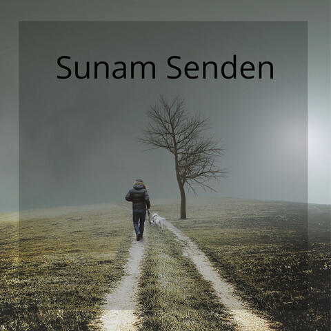 Sunam Senden album art