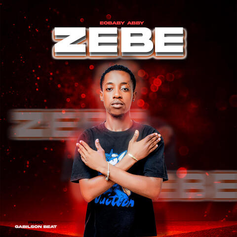 Zebe album art