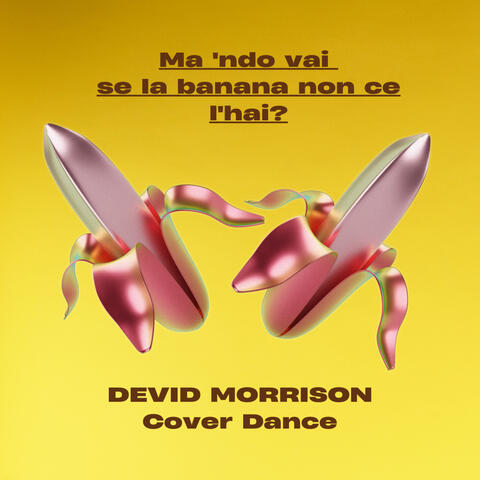 Ma 'ndo vai album art