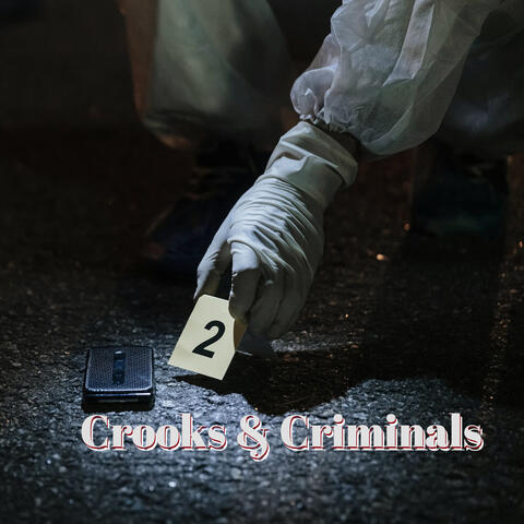 Crooks N Criminals album art