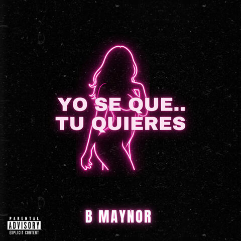 Yo se que tu quieres album art