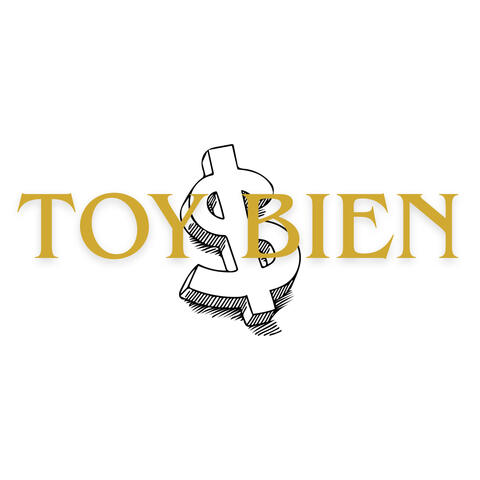 Toy Bien album art