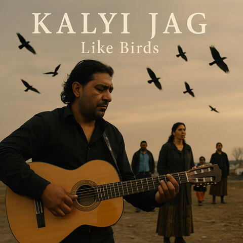 Like Birds album art