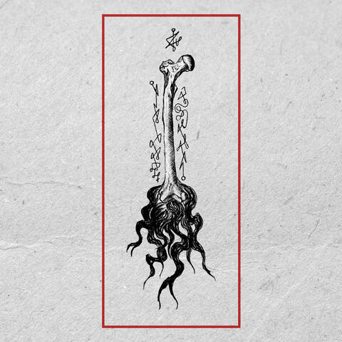 Nocturno Funeral album art